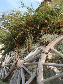La Vecchia Fattoria Hotel San Liberato